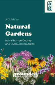 Cover of Grounded's free booklet about natural gardens and shorelines in Haliburton County and surrounding areas.