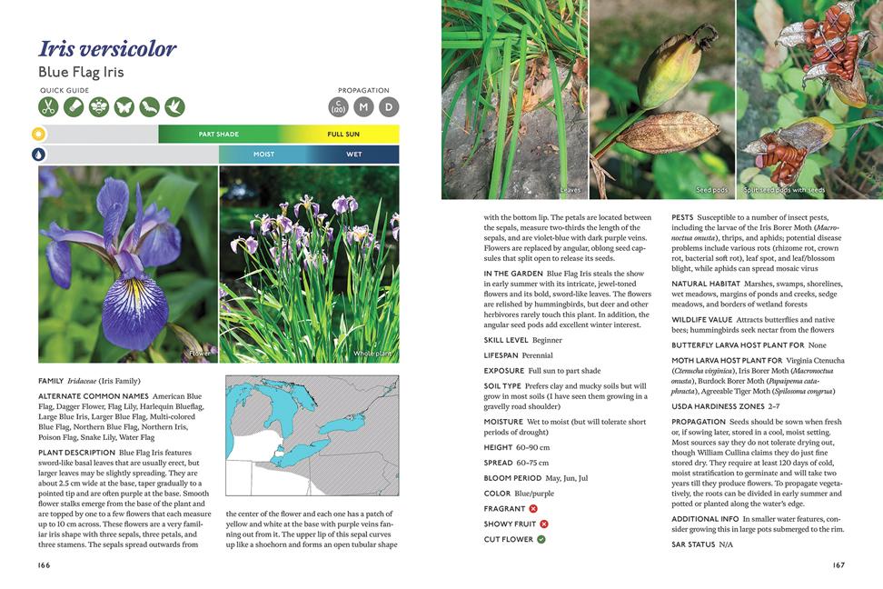 A spread from The Gardener's Guide to Native Plants of the Southern Great Lakes Region. This one focus on Blue Flag Iris.