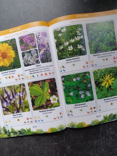 Pages from Guidebook to Ecological Landscaping in the Highlands