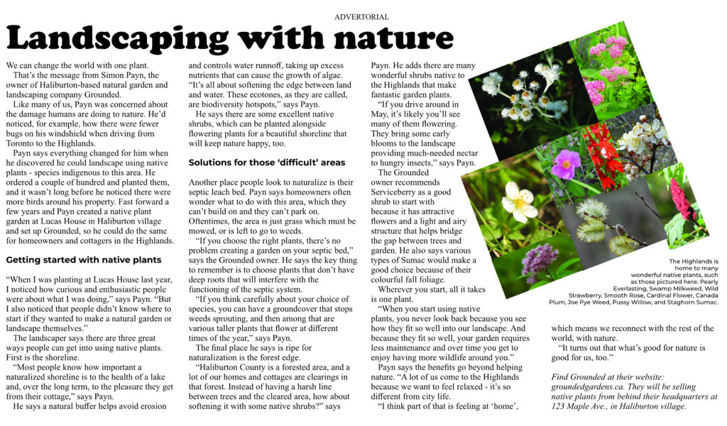 Image of advertorial about native plant landscaping in Haliburton County