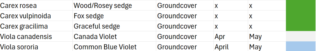 A table showing the plants chosen for the groundcover layer of the native plant shade garden.