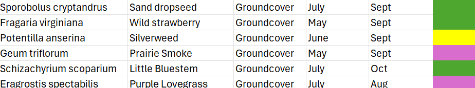 A table showing the plants chosen for the groundcover layer of the native plant prairie-style garden.