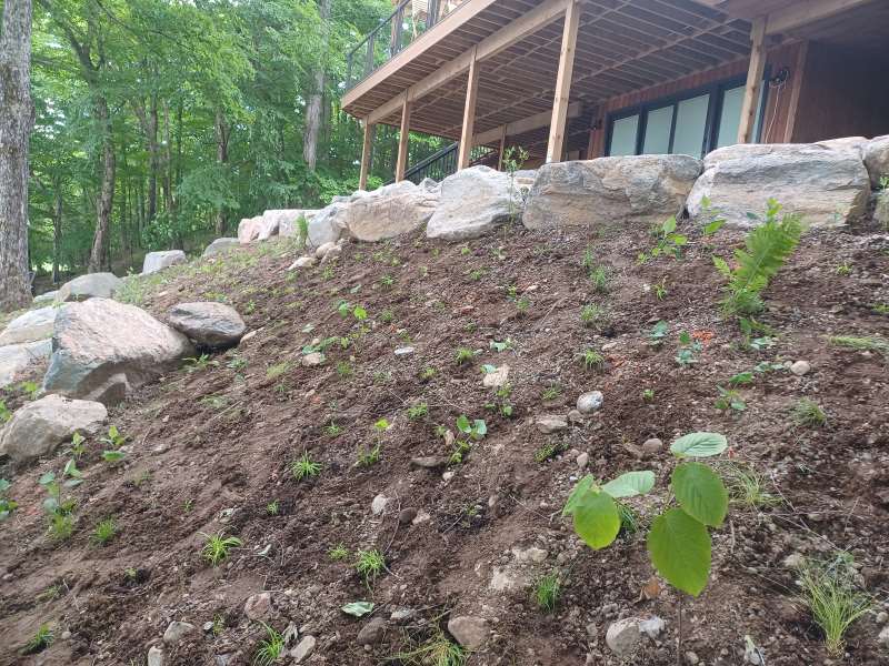 The shaded native plant haliburton landscape after installation