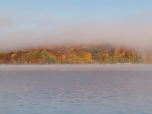 Misty shoreline in Haliburton County