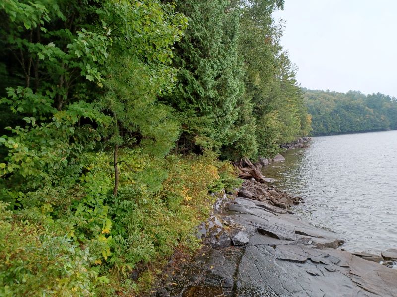 Picture of a natural shoreline in Haliburton County