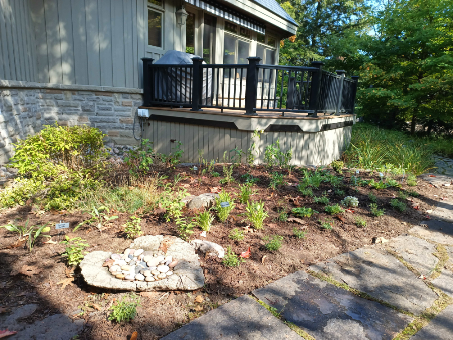 The sunny Haliburton cottage garden just after planting.