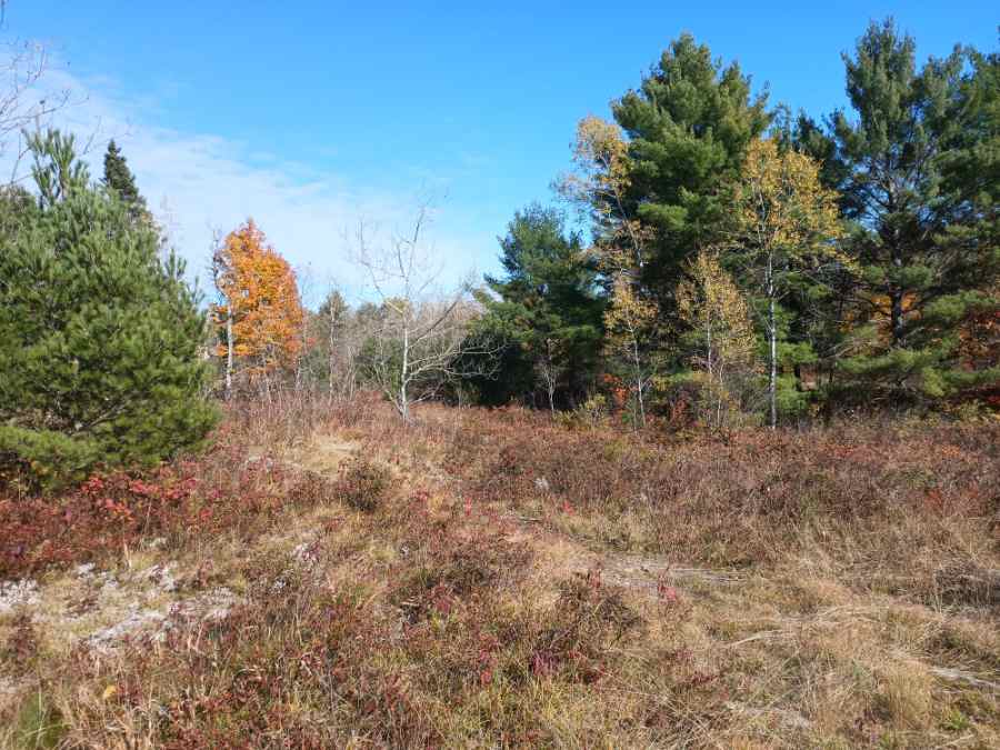 Nature's patterns are naturally pleasing. The eye is led through this landscape.