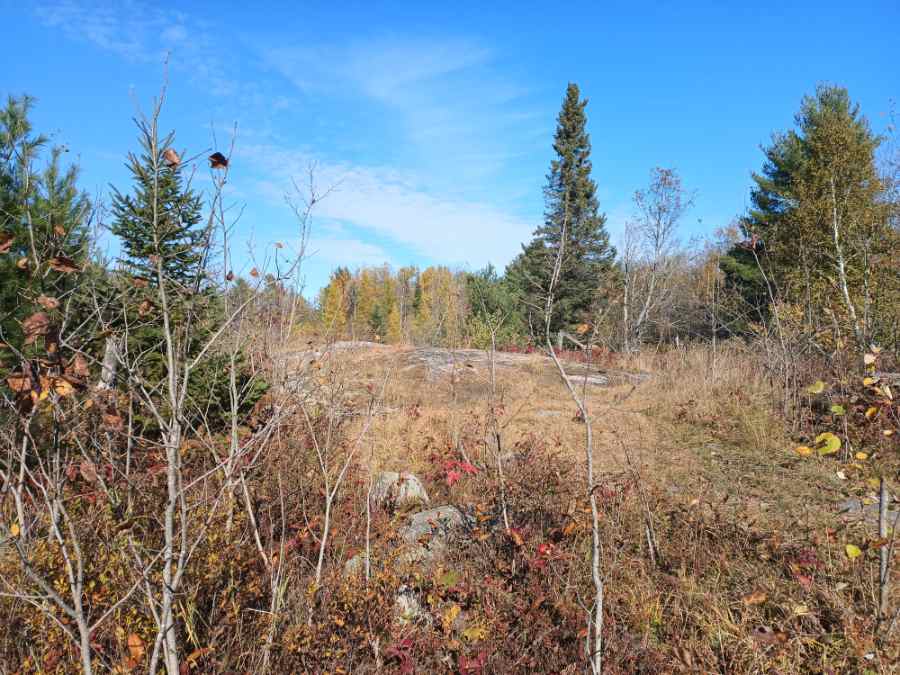 These landscapes are particularly biodiverse, with their varying vegetation providing habitat for a huge variety of wildlife.