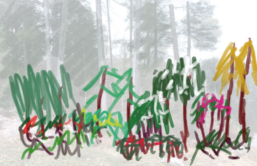 A sketch showing how additional shrubs create extra biodiversity and visual appeal to a forest edge.