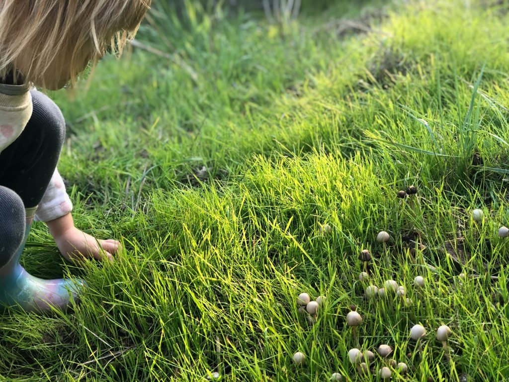 Child with lawn