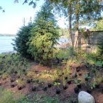 IMG_20240913_160225_914