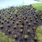 IMG_20250522_101052_203