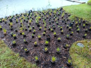 IMG_20250522_101052_203