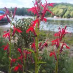 IMG_20250822_150635_197