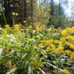 IMG_20250910_143839_161