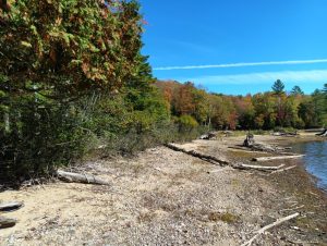 haliburton county shoreline