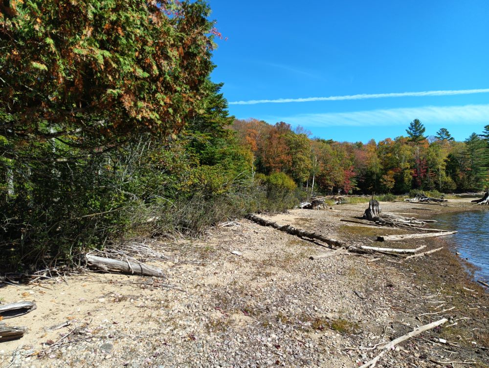 haliburton county shoreline