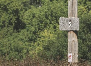 Electricity pole with the number 5 on it.