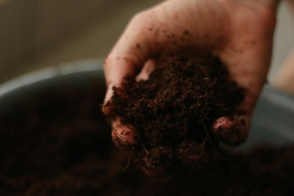handful of soil