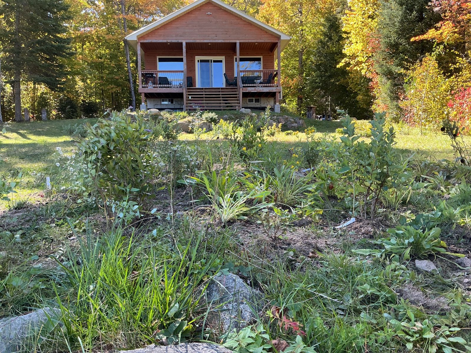 Looking up from the shoreline planting toward the cottage