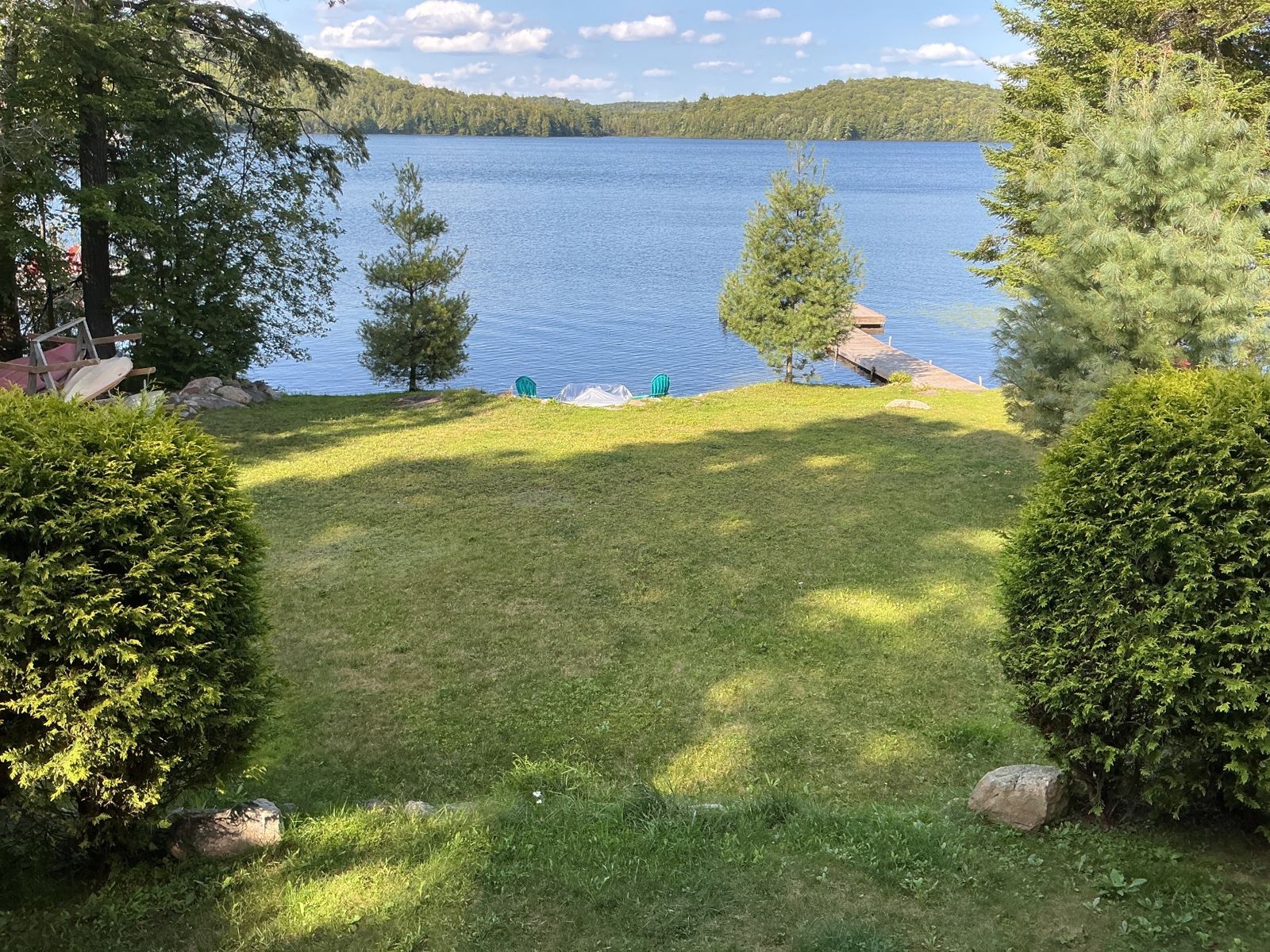 View to the lake framed by two clipped cedar shrubs on a mown lawn