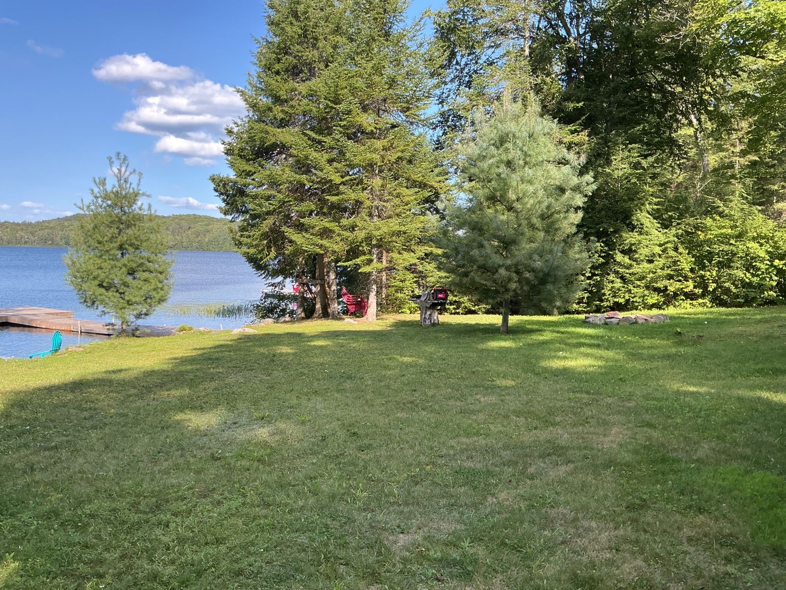 Mown lawn running down to the lake between pines