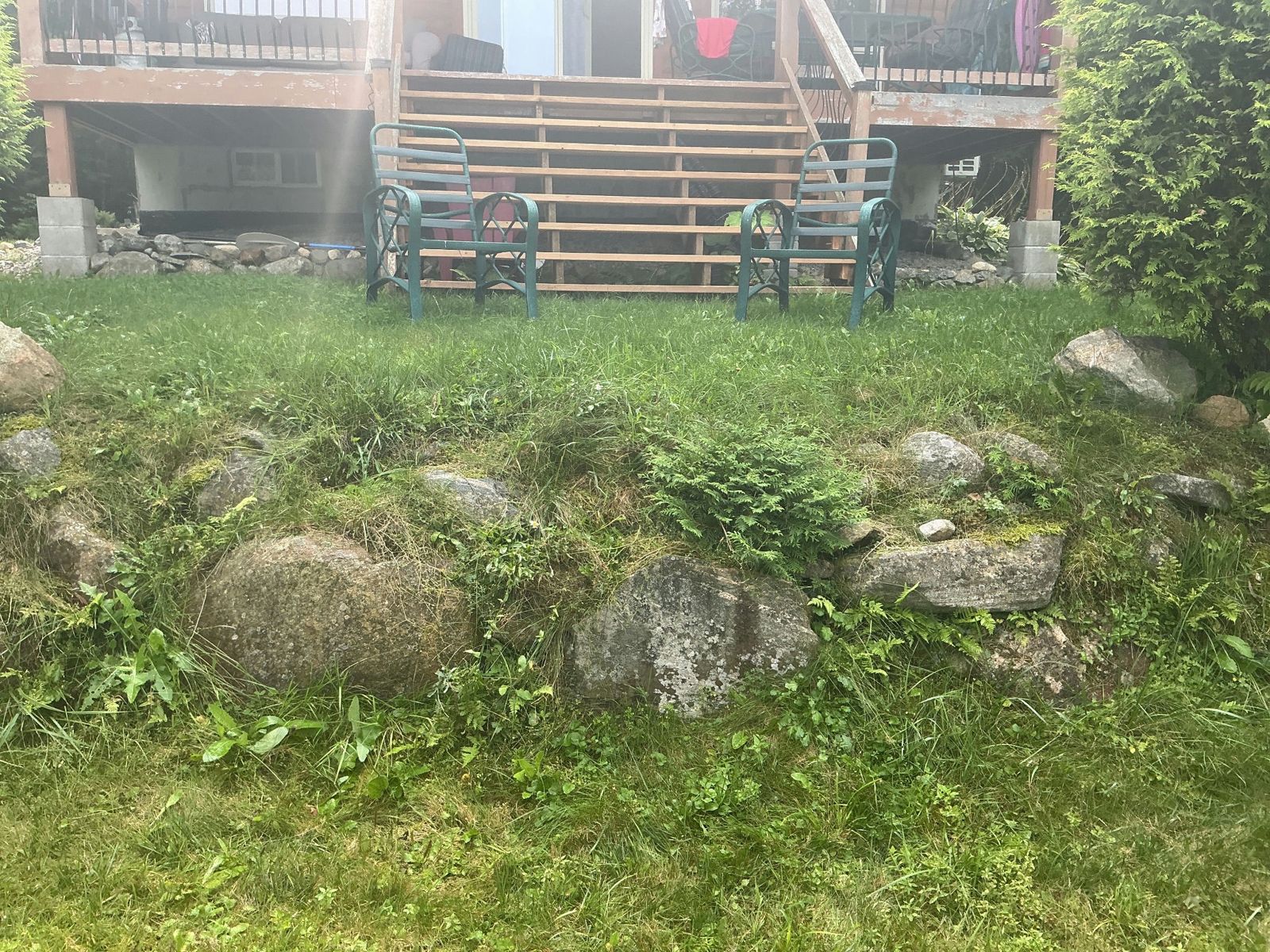 Before: the low stone wall in front of the deck, grassy and weedy between the stones