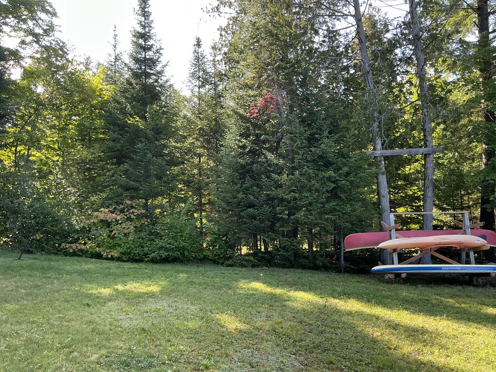 Before: a straight mown line where the lawn meets the forest