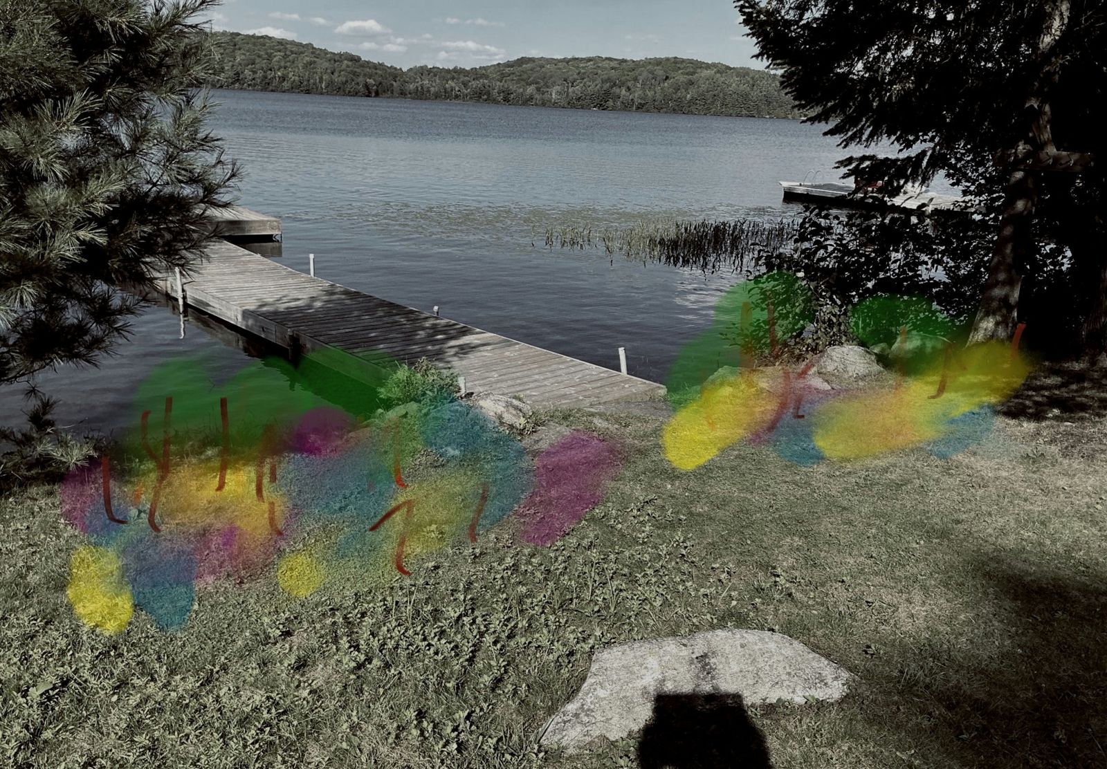 Design sketch over a photo of the shoreline showing planting massed along the strip with the route to the dock kept clear